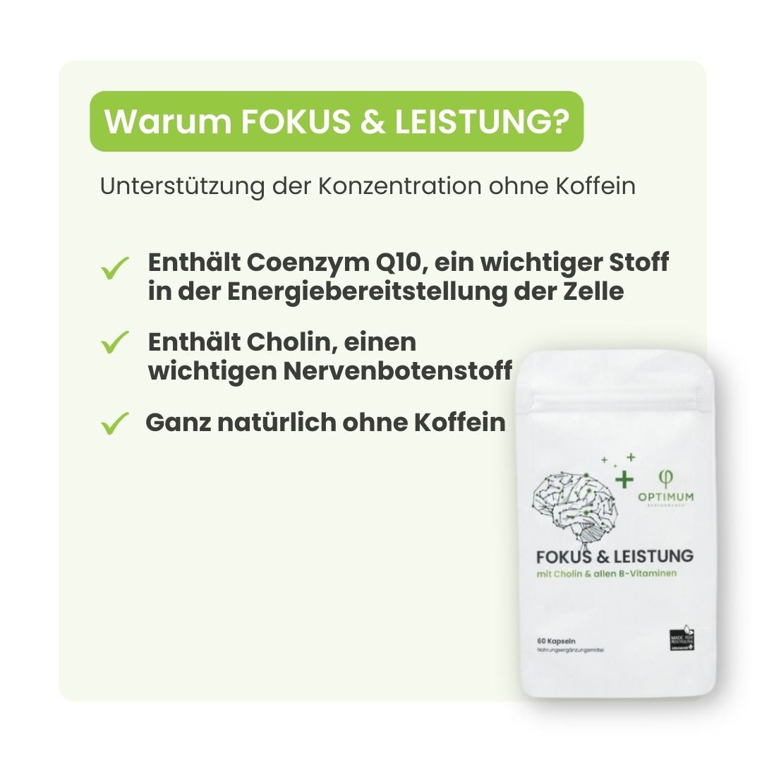 FOKUS & LEISTUNG - OPTIMUM PERFORMANCE®