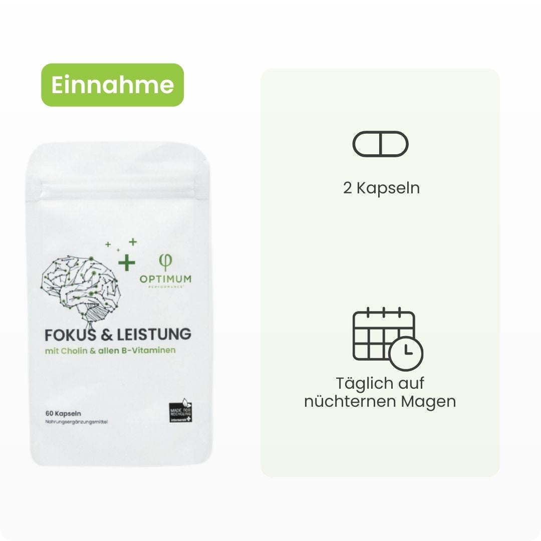 FOKUS & LEISTUNG - OPTIMUM PERFORMANCE®